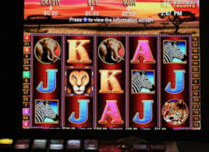 掌中彩welcome正式版